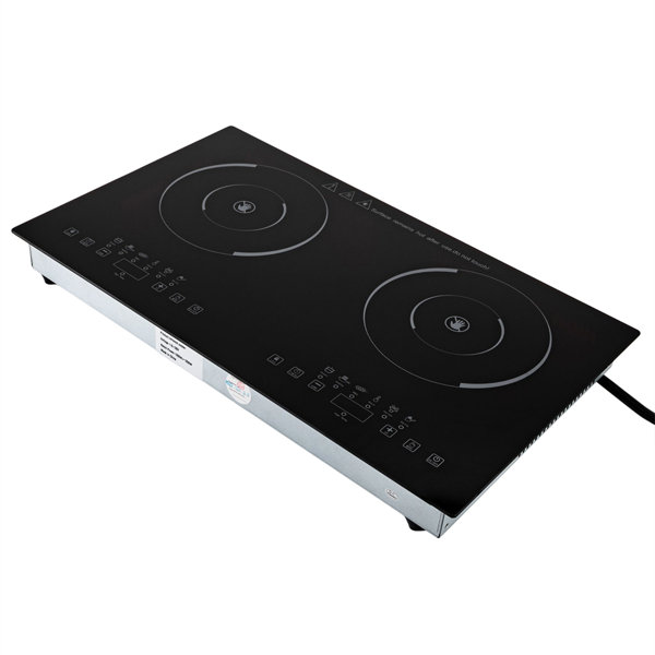 SUNYOU 24'' Smart Electric 2 Burner Cooktop Wayfair